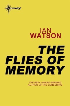 Cover The Flies of Memory (eBook, ePUB)