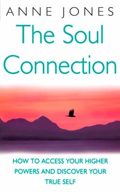 Cover The Soul Connection (eBook, ePUB)