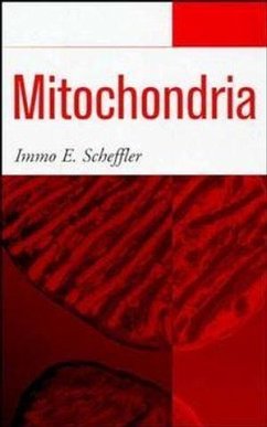 Cover Mitochondria (eBook, PDF)
