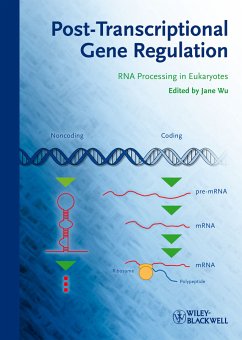 Posttranscriptional Gene Regulation (eBook, PDF)