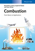 Combustion (eBook, PDF)