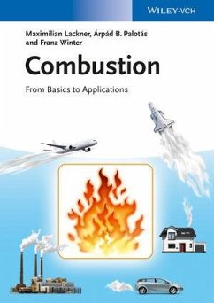 Combustion (eBook, PDF) - Lackner, Maximilian; Palotás, Árpád B.; Winter, Franz