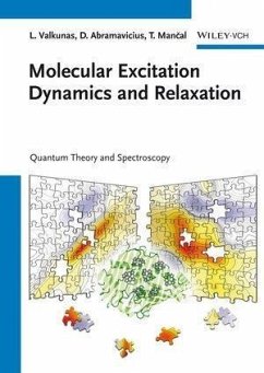 Molecular Excitation Dynamics and Relaxation (eBook, PDF) - Valkunas, Leonas; Abramavicius, Darius; Mancal, Tomás
