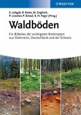 Waldböden (eBook, ePUB)