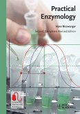 Practical Enzymology (eBook, ePUB)