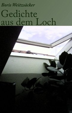 Gedichte aus dem Loch (eBook, ePUB) - Weitzsäcker, Boris
