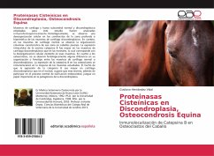 Proteinasas Cisteínicas en Discondroplasia, Osteocondrosis Equina - Hernández Vidal, Gustavo