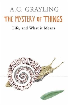 The Mystery of Things (eBook, ePUB) - Grayling, A. C.