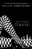 Industrial Magic (eBook, ePUB)