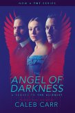 The Angel of Darkness: Book 2 of the Alienist (eBook, ePUB)