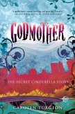 Godmother (eBook, ePUB)