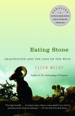 Cover Eating Stone (eBook, ePUB)