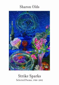 Cover Strike Sparks (eBook, ePUB)