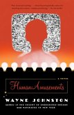 Human Amusements (eBook, ePUB)