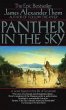 Panther in the Sky (eBook, ePUB) - Bild 1