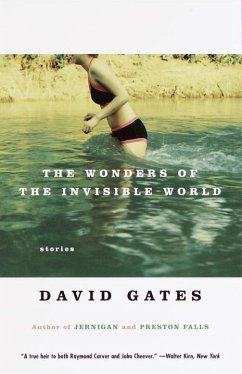 The Wonders of the Invisible World (eBook, ePUB) - Gates, David