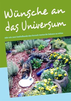 Cover Wünsche an das Universum (eBook, ePUB)