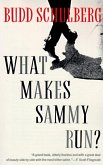 What Makes Sammy Run? (eBook, ePUB)