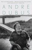 Meditations from a Movable Chair (eBook, ePUB)