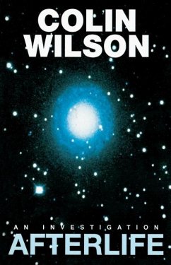 Afterlife (eBook, ePUB) - Wilson, Colin