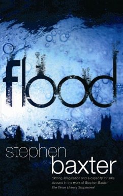 Cover Flood (eBook, ePUB)