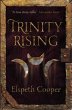 Trinity Rising (eBook, ePUB) - Bild 1
