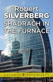 Shadrach in the Furnace (eBook, ePUB)