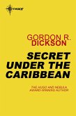 Secret Under the Caribbean (eBook, ePUB)