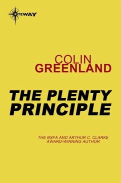 The Plenty Principle (eBook, ePUB) - Greenland, Colin