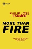 More Than Fire (eBook, ePUB)