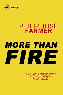 More Than Fire (eBook, ePUB) - Farmer, Philip Jose