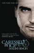 Caressed by Ice (eBook, ePUB) - Bild 1