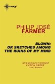 Blown: or Sketches Among the Ruins of My Mind (eBook, ePUB)