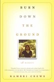 Burn Down the Ground (eBook, ePUB)