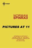 Pictures at 11 (eBook, ePUB)
