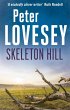 Skeleton Hill (eBook, ePUB) - Bild 1