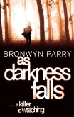 As Darkness Falls (eBook, ePUB) As Darkness Falls (eBook, ePUB)