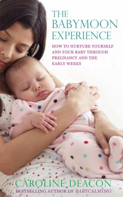 Cover The Babymoon Experience (eBook, ePUB)