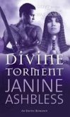 Divine Torment (eBook, ePUB)