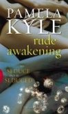 Rude Awakening (eBook, ePUB)