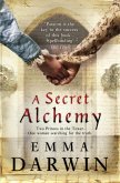 A Secret Alchemy (eBook, ePUB) A Secret Alchemy (eBook, ePUB)