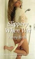 Slippery When Wet (eBook, ePUB) - Birch, Penny