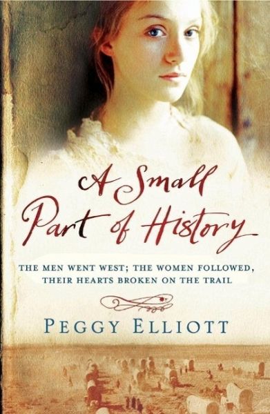 A Small Part of History (eBook, ePUB)