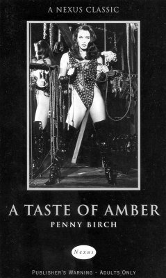 A Taste of Amber (eBook, ePUB) - Birch, Penny