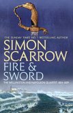 Fire and Sword (Wellington and Napoleon 3) (eBook, ePUB)