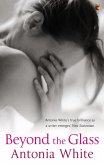 Beyond The Glass (eBook, ePUB)