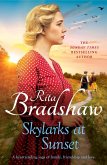 Skylarks At Sunset (eBook, ePUB)