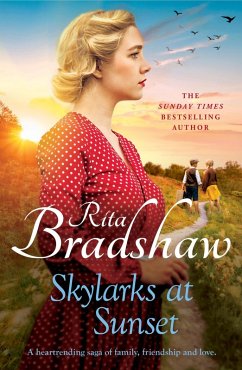 Cover Skylarks At Sunset (eBook, ePUB)