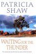 Waiting for the Thunder (eBook, ePUB) - Bild 1