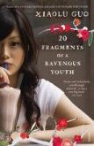 20 Fragments of a Ravenous Youth (eBook, ePUB)